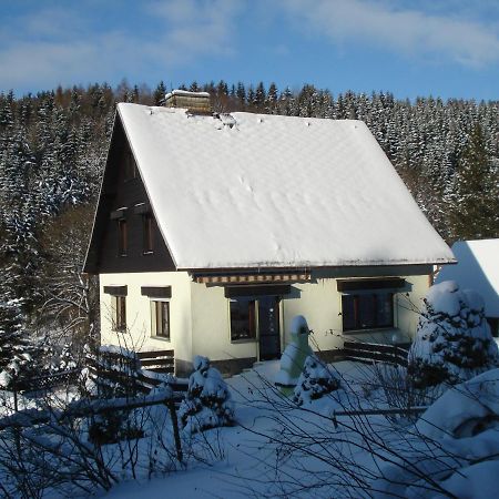 Erzgebirgsdomizil Am Schwartenberg 诺伊豪森 外观 照片