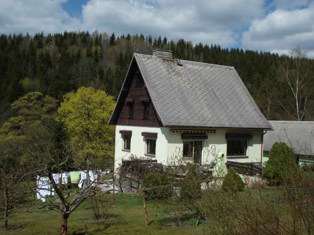 Erzgebirgsdomizil Am Schwartenberg 诺伊豪森 外观 照片